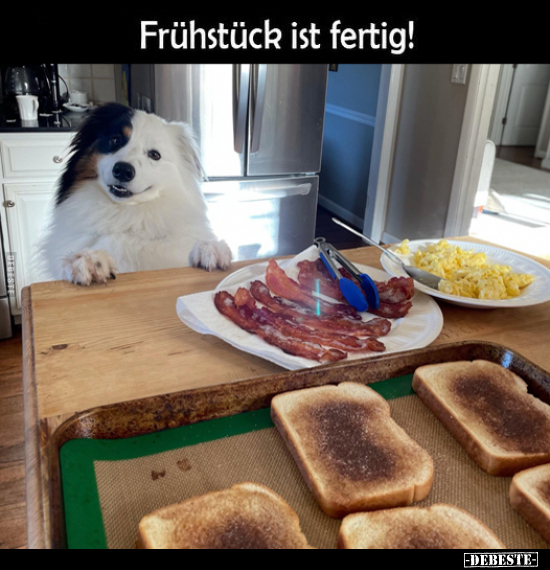 Frühstück ist fertig!.. - Lustige Bilder | DEBESTE.de