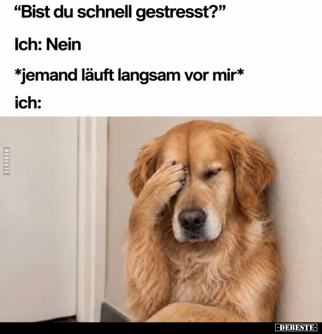 "Bist du schnell gestresst?" -
Ich: Nein. -
Jemand läuft langsam vor mir.