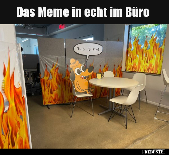 Das Meme in echt im Büro.. - Lustige Bilder | DEBESTE.de