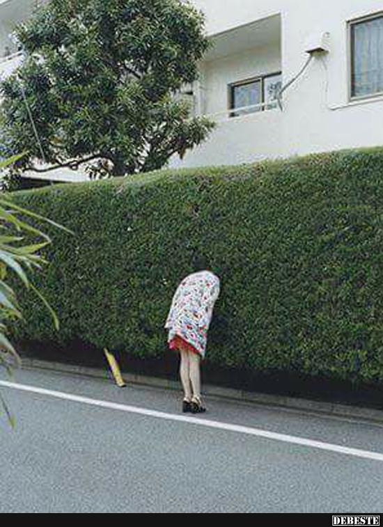 Jaja ....die lieben Nachbarn :) - Lustige Bilder | DEBESTE.de