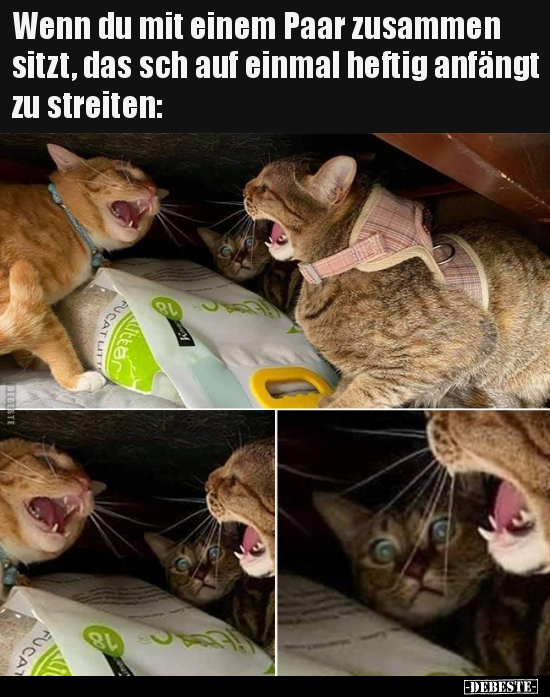 Wenn du mit einem Paar zusammen sitzt, das sch auf einmal..