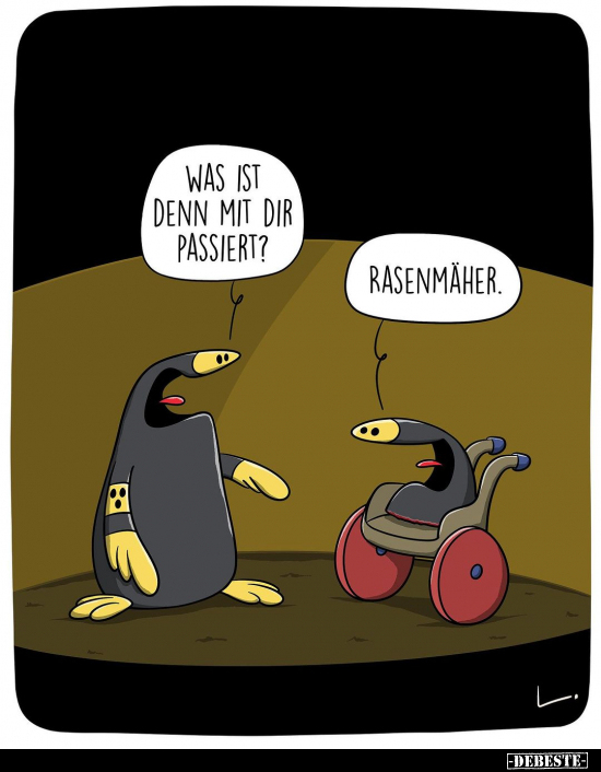 Was ist denn mit dir passiert?.. - Lustige Bilder | DEBESTE.de