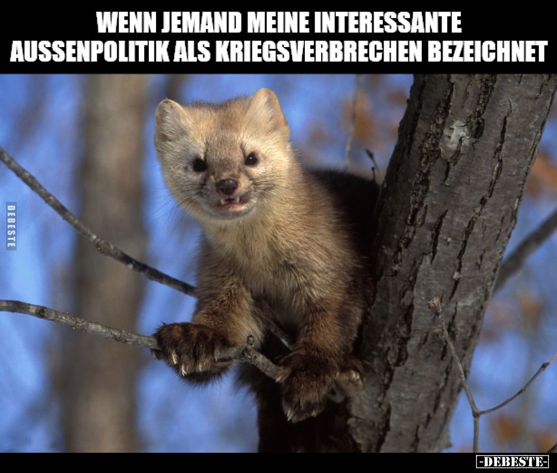 Wenn jemand meine interessante
Außenpolitik als Kriegsverbrechen bezeichnet