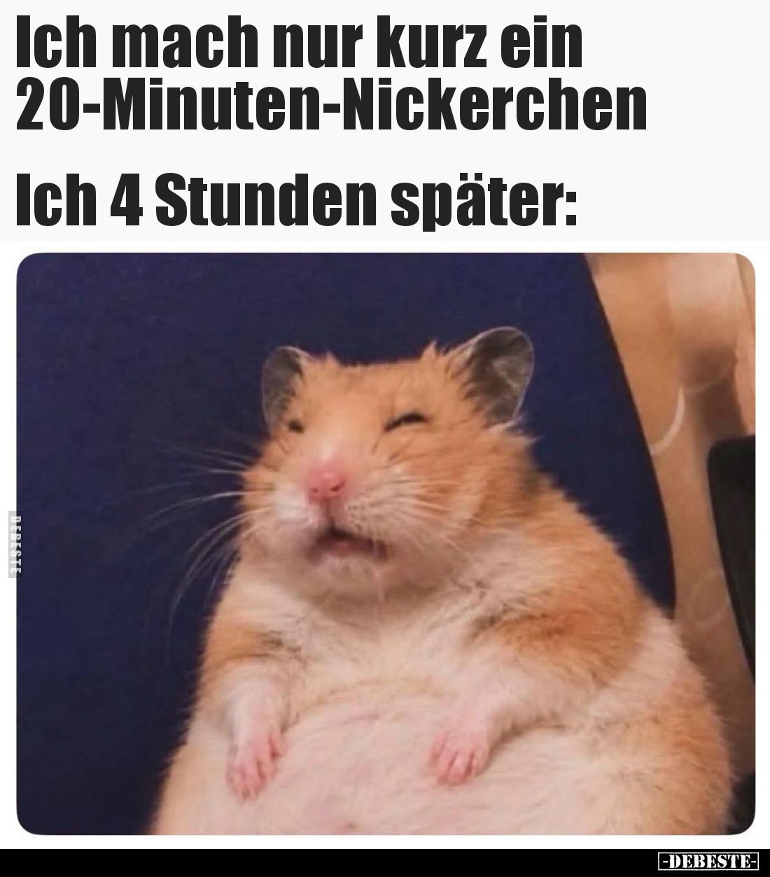 Ich mach nur kurz ein 20-Minuten-Nickerchen
 - 
Ich 4 Stunden später: