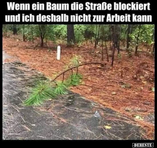 Wenn ein Baum die Straße blockiert und ich deshalb nicht.. - Lustige Bilder | DEBESTE.de