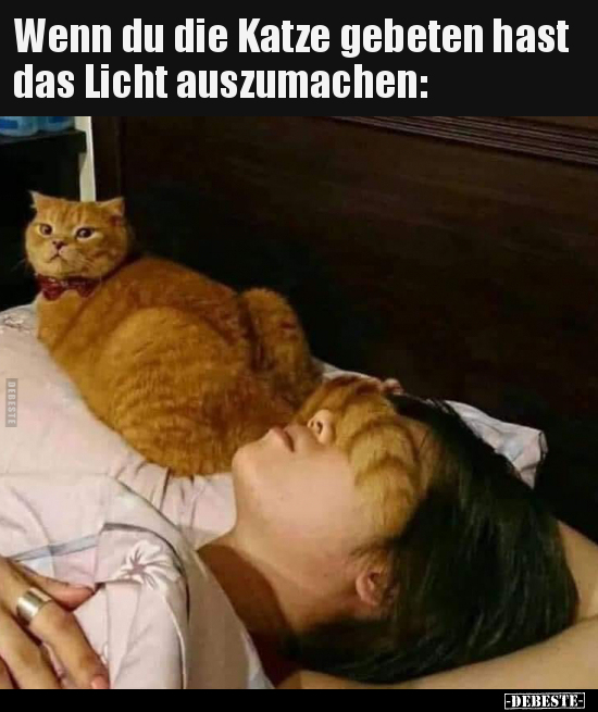 Wenn du die Katze gebeten hast das Licht auszumachen.. - Lustige Bilder | DEBESTE.de