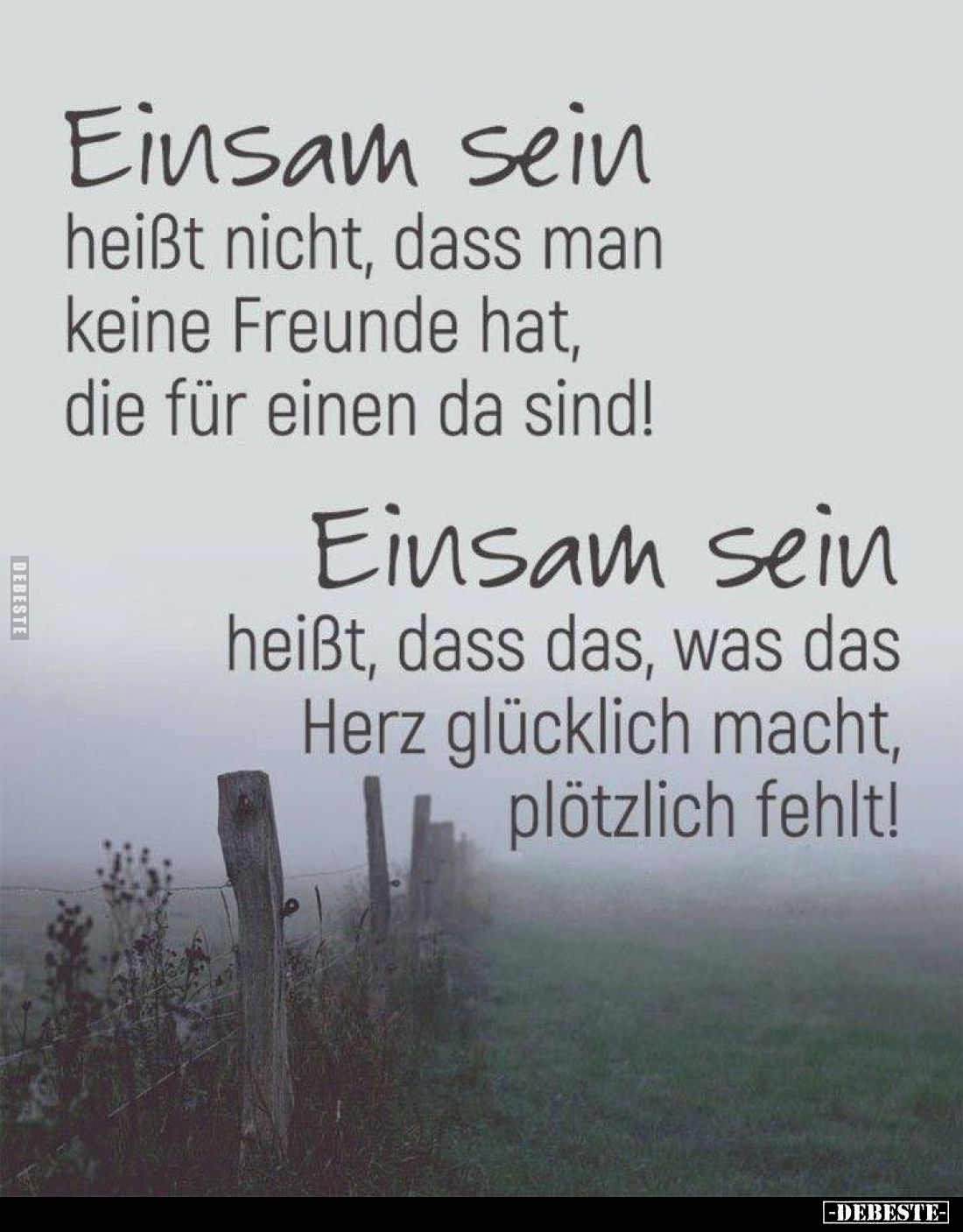 Einsam sein heißt nicht, dass man keine Freunde hat, die für einen da sind!
Einsam sein heißt, dass das, was das Herz glückl...