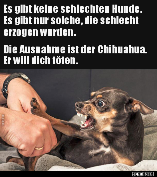 Es gibt keine schlechten Hunde. Es gibt nur solche, die.. - Lustige Bilder | DEBESTE.de