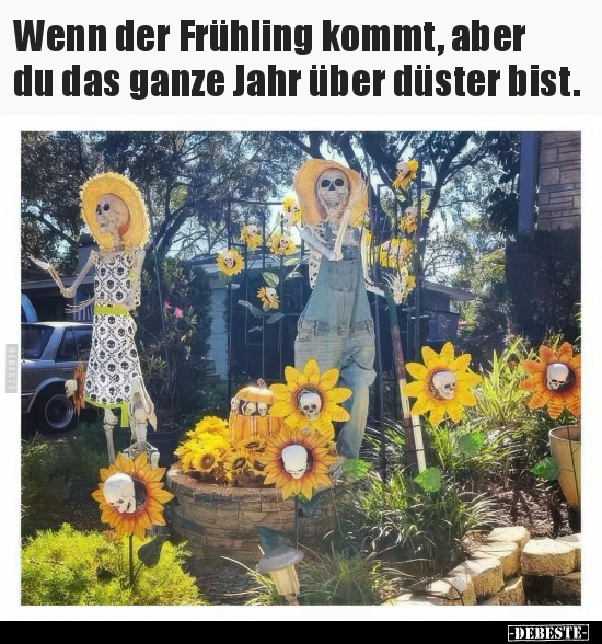 Wenn der Frühling kommt, aber du das ganze Jahr über düster bist.