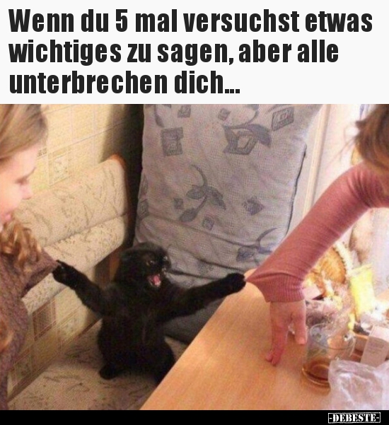 Wenn du 5 mal versuchst etwas wichtiges zu sagen, aber alle..