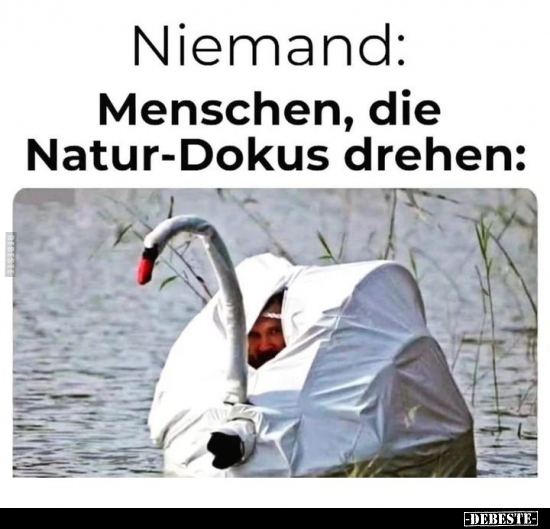 Niemand: Menschen, die Natur-Dokus drehen.. - Lustige Bilder | DEBESTE.de