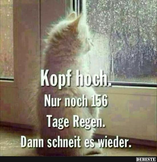 Kopf hoch. Nur noch 156 Tage Regen.. - Lustige Bilder | DEBESTE.de