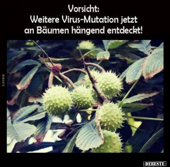 Vorsicht: Weitere Virus-Mutation jetzt an Bäumen hängend.. - Lustige Bilder | DEBESTE.de