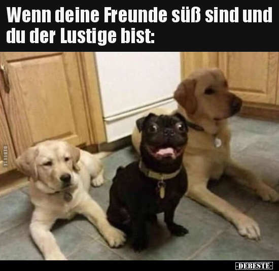 Wenn deine Freunde süß sind und du der Lustige bist.. - Lustige Bilder | DEBESTE.de