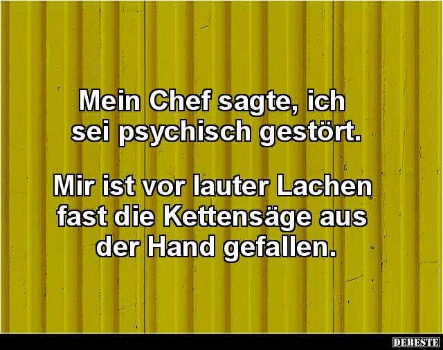 Mein Chef sagte, ich sei psychisch gestört.. - Lustige Bilder | DEBESTE.de