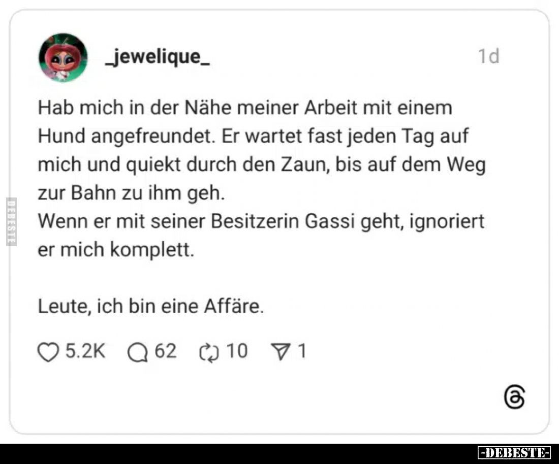 Hab mich in der Nähe meiner Arbeit mit einem Hund angefreundet. Er wartet fast jeden Tag auf mich und quiekt durch den Zaun, ...