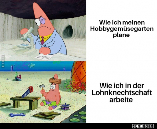 Wie ich meinen Hobbygemüsegarten plane.. - Lustige Bilder | DEBESTE.de