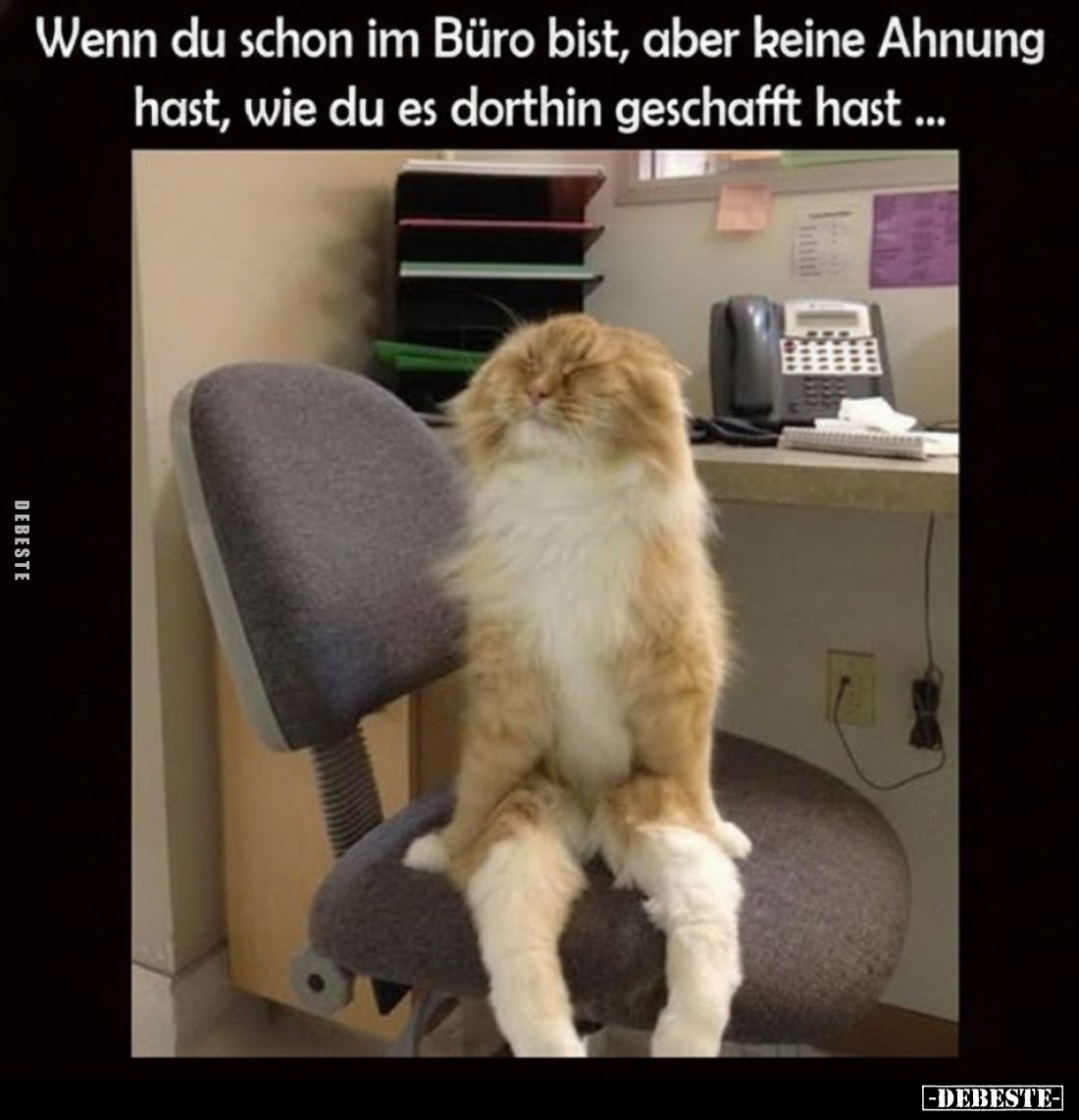 Wenn du schon im Büro bist, aber keine Ahnung hast, wie du es dorthin geschafft hast ...