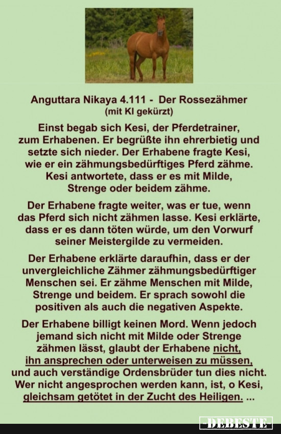 AN 4.111 - Der Pferdetrainer - Lustige Bilder | DEBESTE.de