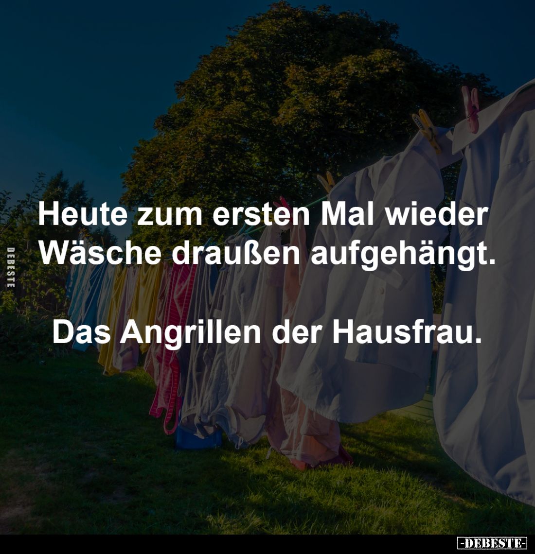 Heute zum ersten Mal wieder Wäsche... - Lustige Bilder | DEBESTE.de
