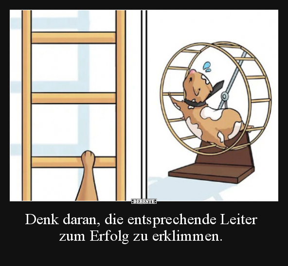 Denk daran, die entsprechende Leiter zum Erfolg zu.. - Lustige Bilder | DEBESTE.de