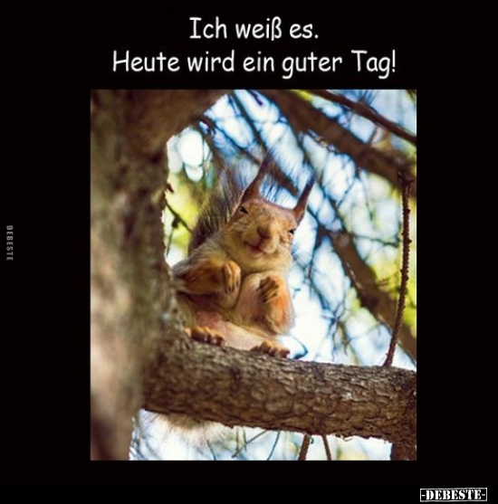Ich weiß es. Heute wird ein guter Tag!.. - Lustige Bilder | DEBESTE.de