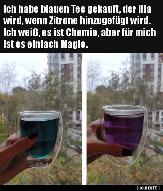 Ich habe blauen Tee gekauft, der lila wird, wenn Zitrone.. - Lustige Bilder | DEBESTE.de