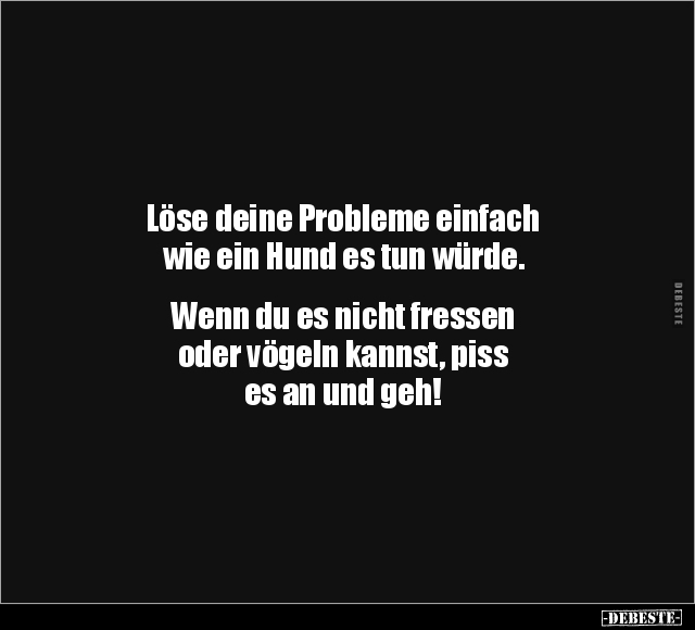 Löse deine Probleme einfach wie ein Hund.. - Lustige Bilder | DEBESTE.de