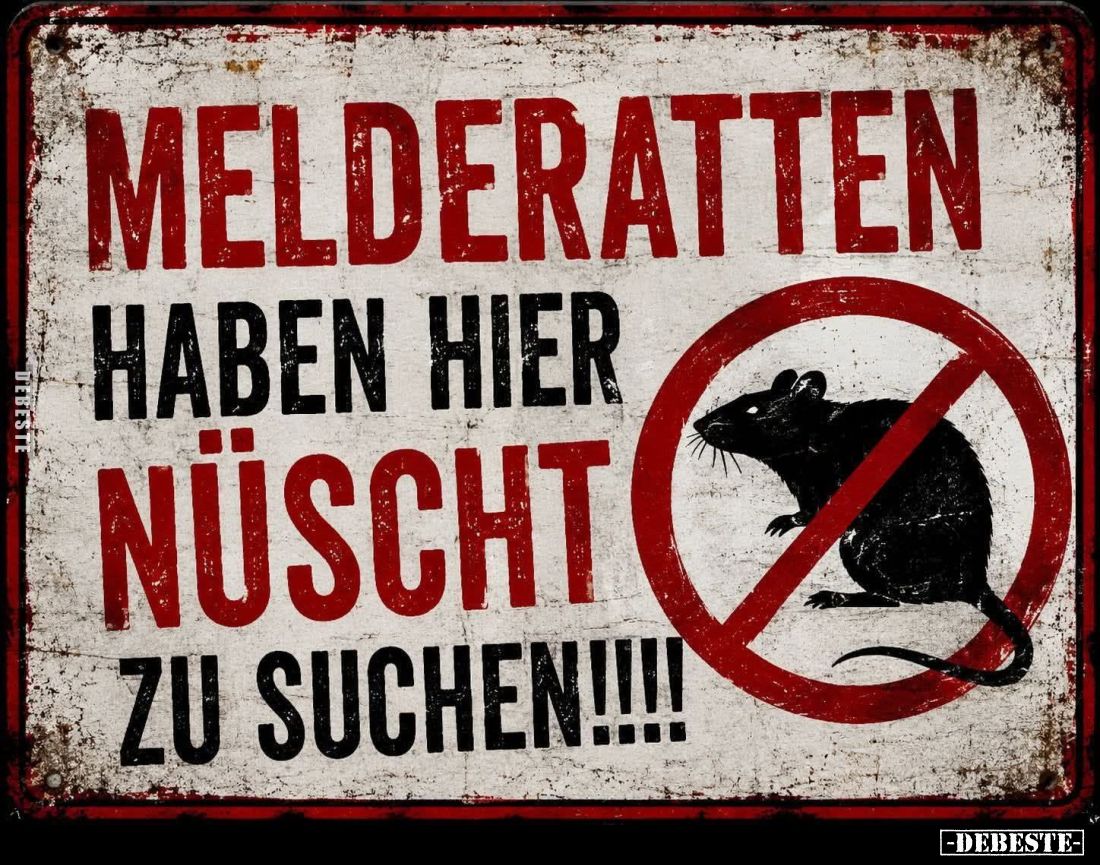 Melderatten haben hier nüscht zu suchen!