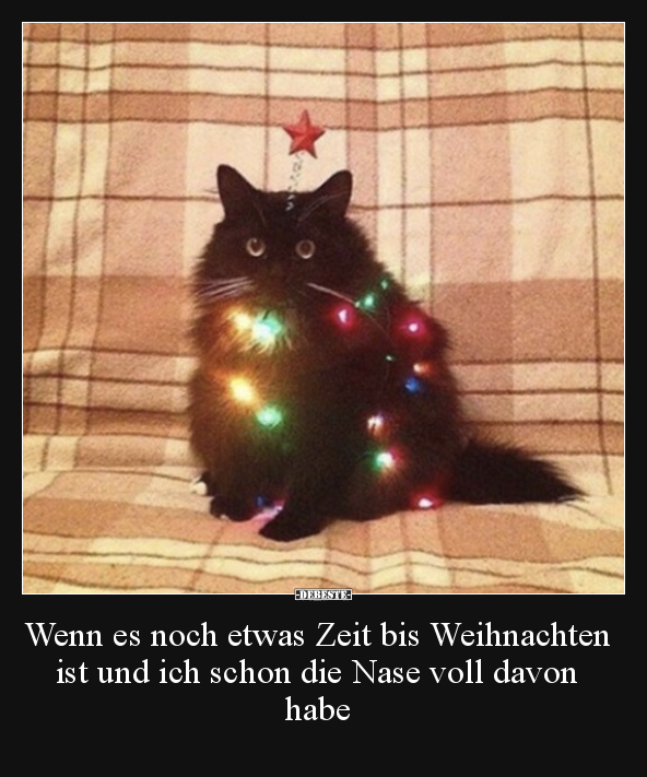 Wenn es noch etwas Zeit bis Weihnachten ist und ich schon.. - Lustige Bilder | DEBESTE.de