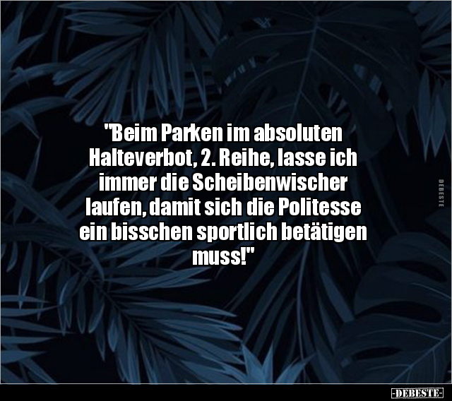 "Beim Parken im absoluten Halteverbot, 2. Reihe, lasse ich.." - Lustige Bilder | DEBESTE.de