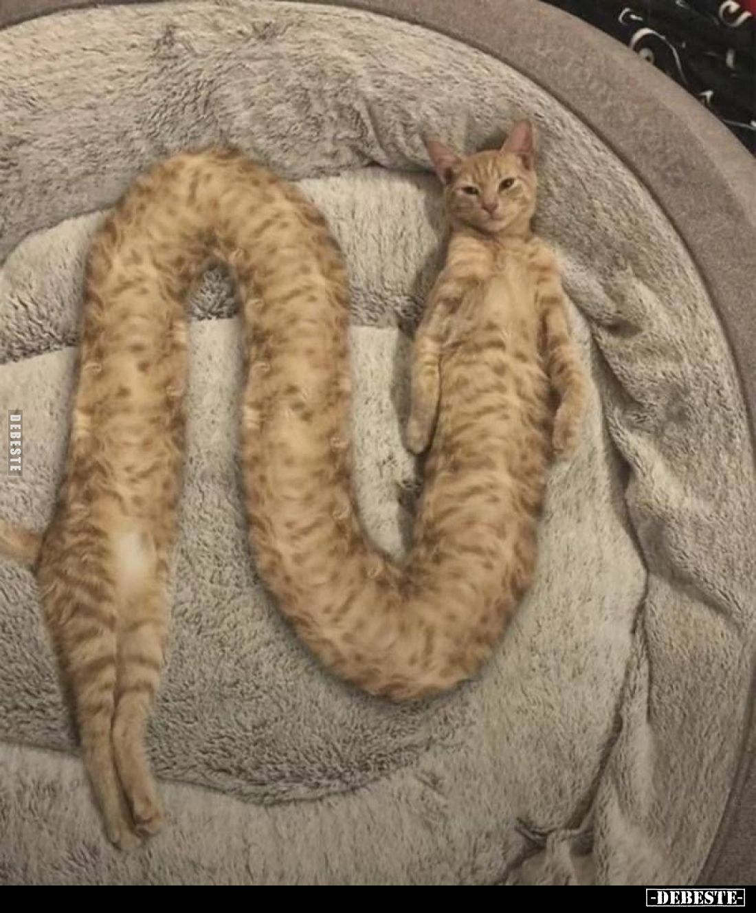☻