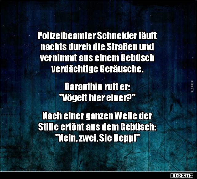 Polizeibeamter Schneider läuft nachts durch die Straßen.. - Lustige Bilder | DEBESTE.de