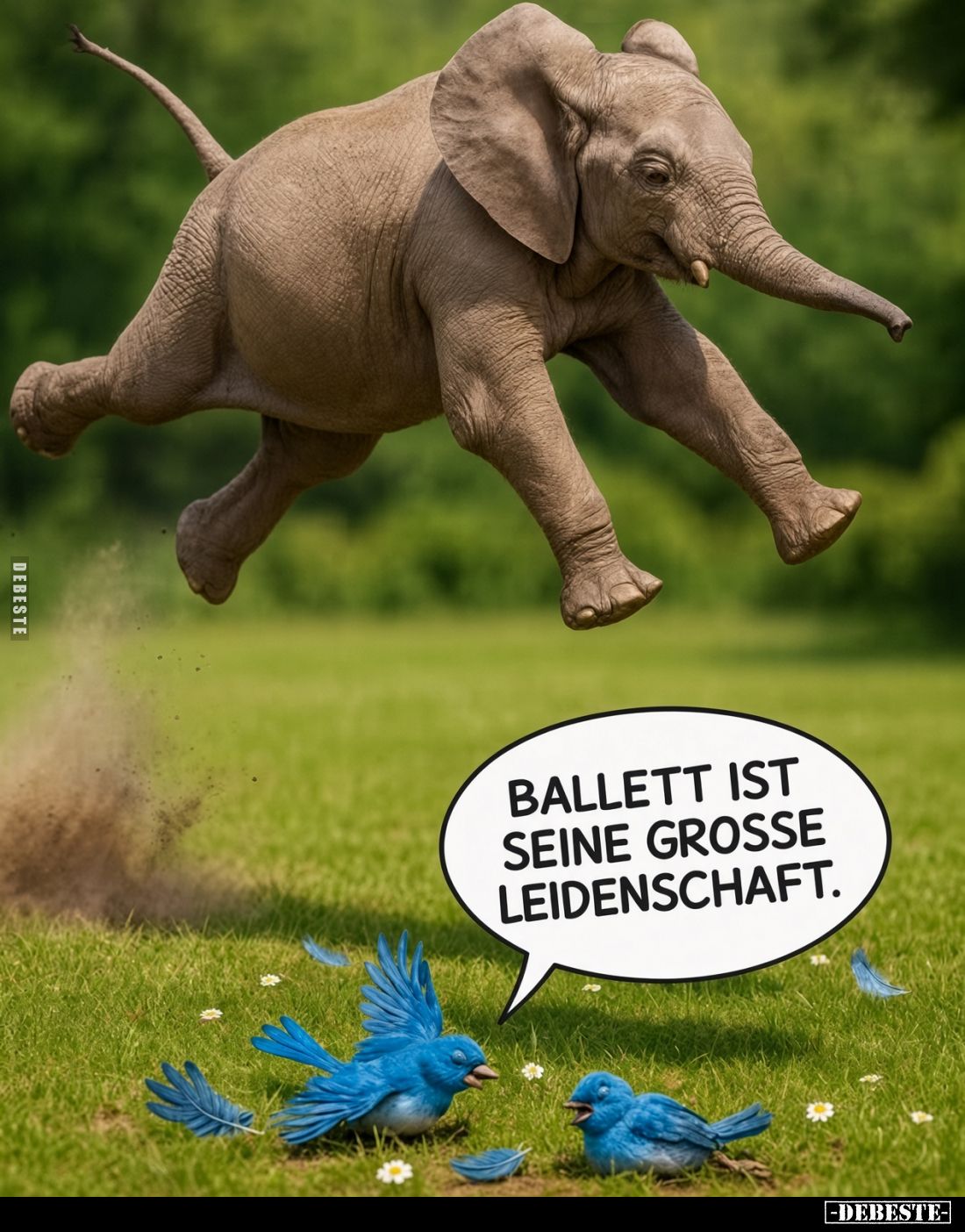 Ballett ist seine grosse Leidenschaft.