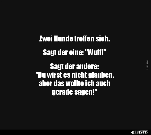 Zwei Hunde treffen sich. Sagt der eine: "Wuff!"... - Lustige Bilder | DEBESTE.de