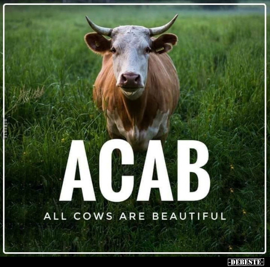  - Lustige Bilder | DEBESTE.de