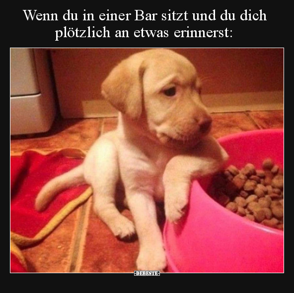 Wenn du in einer Bar sitzt und du dich plötzlich an etwas.. - Lustige Bilder | DEBESTE.de