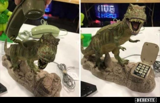  - Lustige Bilder | DEBESTE.de