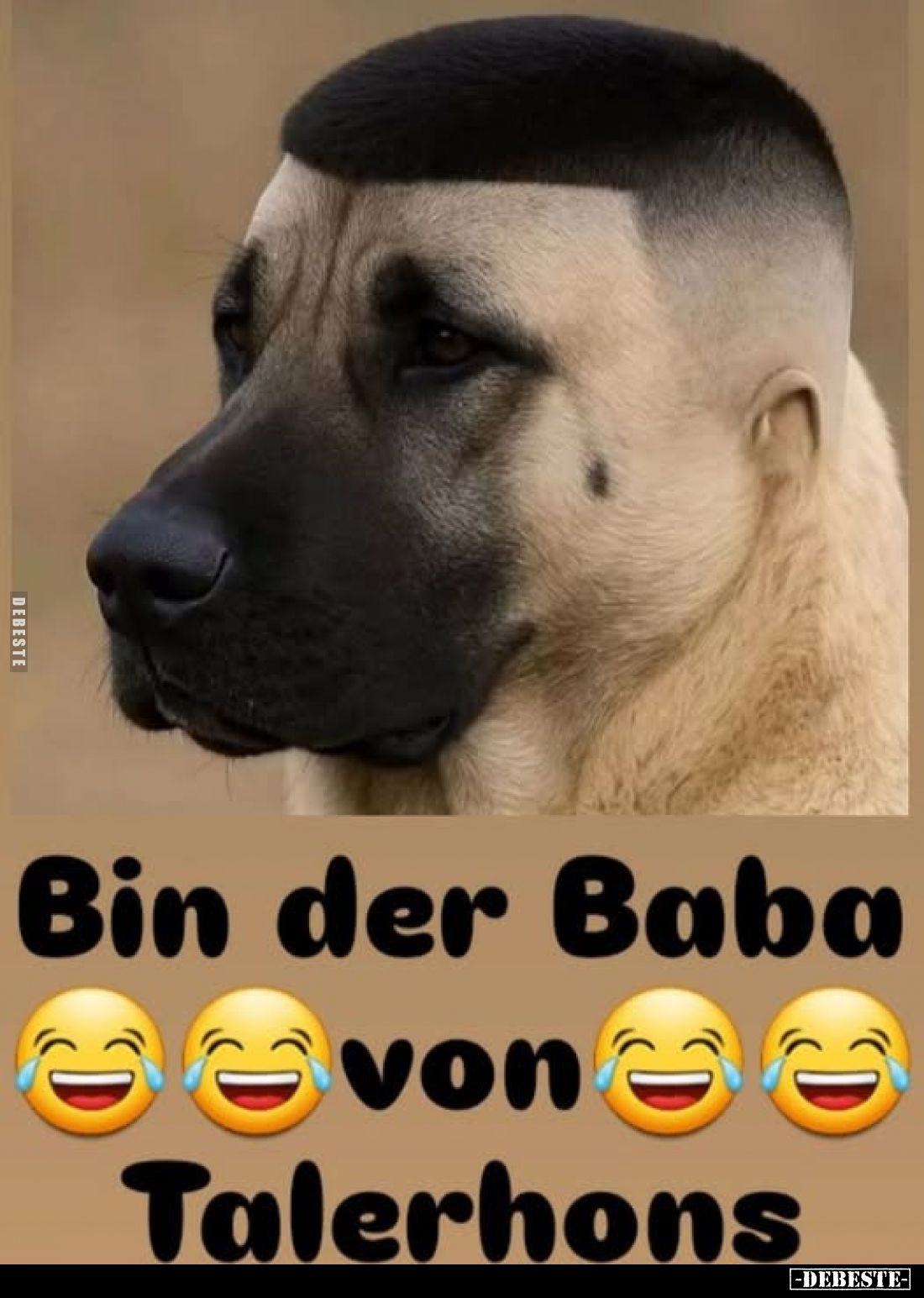 Bin der Baba von Talerhons