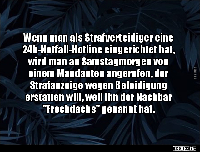 Wenn man als Strafverteidiger eine 24h-Notfall-Hotline.. - Lustige Bilder | DEBESTE.de