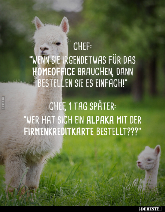 Chef: "Wenn sie irgendetwas für das HomeOffice brauchen.." - Lustige Bilder | DEBESTE.de