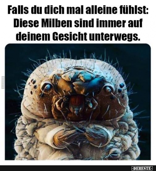 Falls du dich mal alleine fühlst: