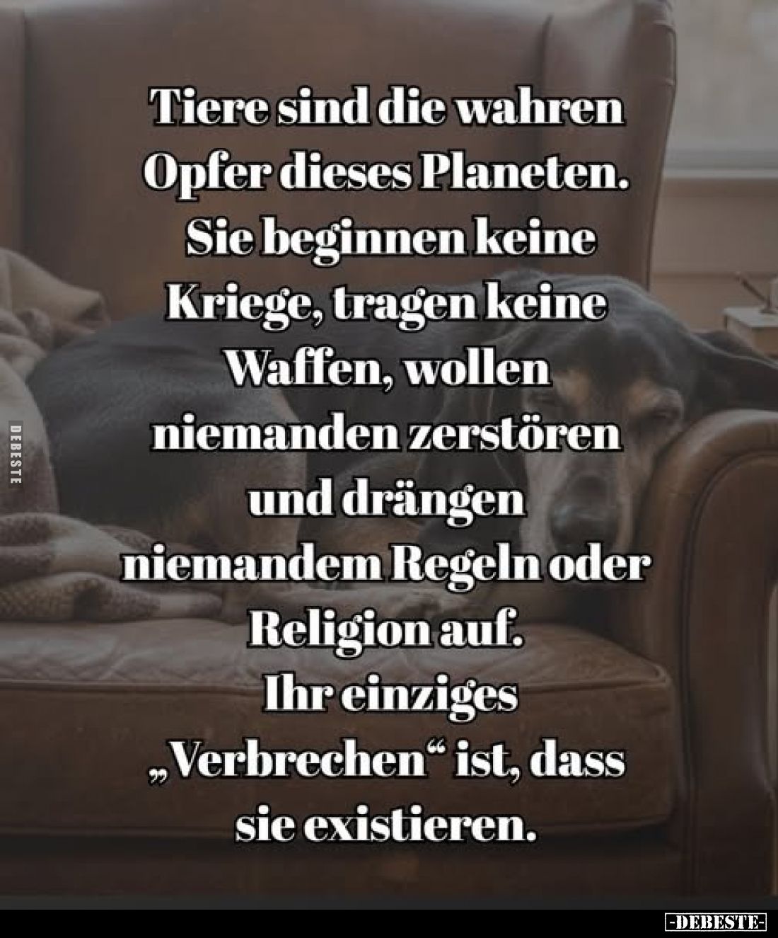 Tiere sind die wahren Opfer dieses Planeten.. - Lustige Bilder | DEBESTE.de