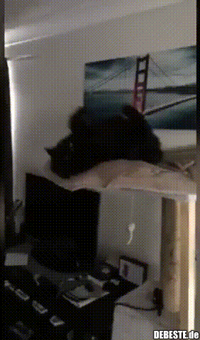 Zeit für eine Diät..