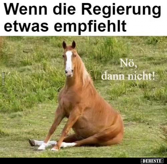 Wenn die Regierung etwas empfiehlt.. - Lustige Bilder | DEBESTE.de