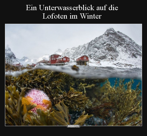 Ein Unterwasserblick auf die Lofoten im Winter.. - Lustige Bilder | DEBESTE.de
