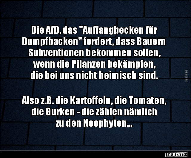 Die AfD, das "Auffangbecken für Dumpfbacken" fordert, dass.. - Lustige Bilder | DEBESTE.de