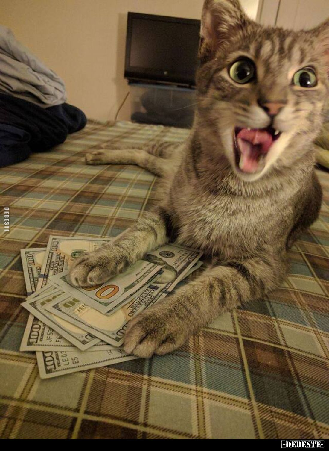  - Lustige Bilder | DEBESTE.de