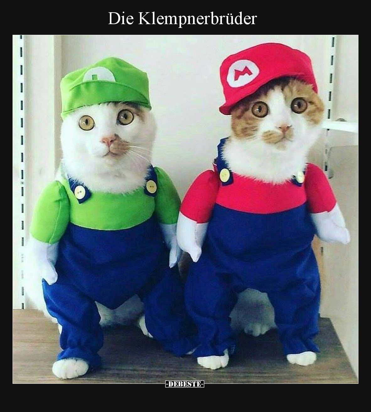 Die Klempnerbrüder.. - Lustige Bilder | DEBESTE.de