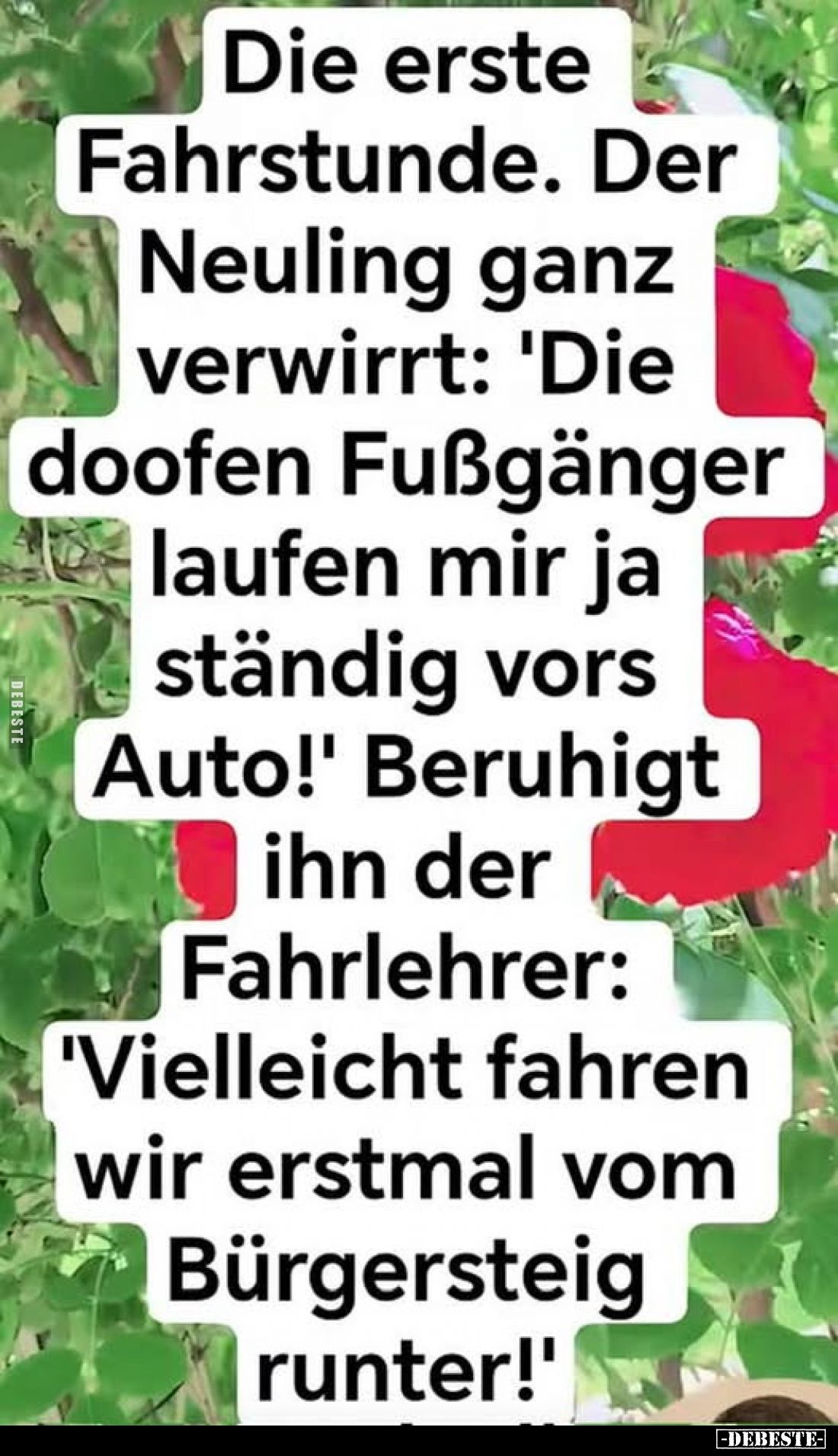 Die erste Fahrstunde.
Der Neuling ganz verwirrt: "Die doofen Fußgänger laufen mir ja ständig vors Auto!"
Beruhigt...